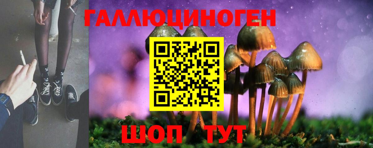 Галлюциногенные грибы Cubensis  Галлюциногенные грибы мухоморы  Братск  Вход с VPN 